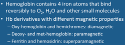 forms of hemoglobin