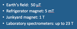 Magnetic fields, MRI