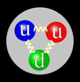 nuclear spin, quarks