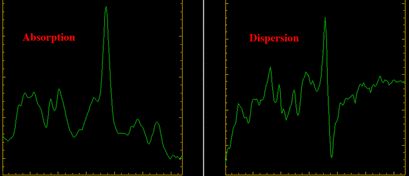 Absorption-dispersion MRS